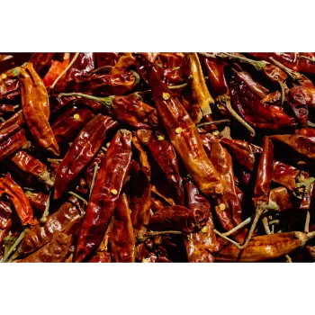 Fresh Guntur Dry Red Chilli